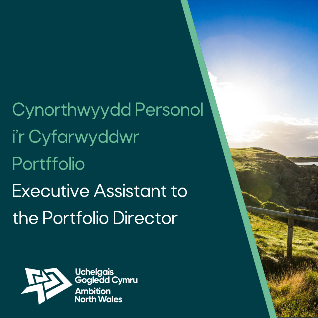 Pecyn Swydd - Cynorthwydd Personol i'r Cyfarwyddwr Portffolio